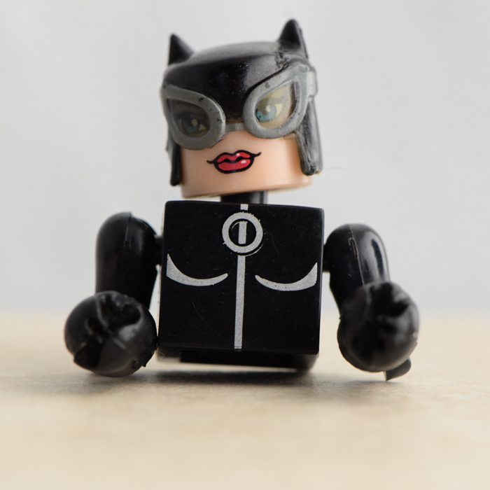 Catwoman Partial Minimate (DC C3 Wave 1)