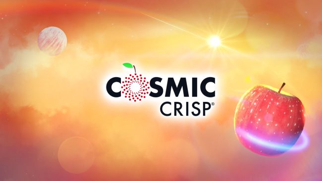Cosmic Crisp 2022 Holiday Event in Saint Paul