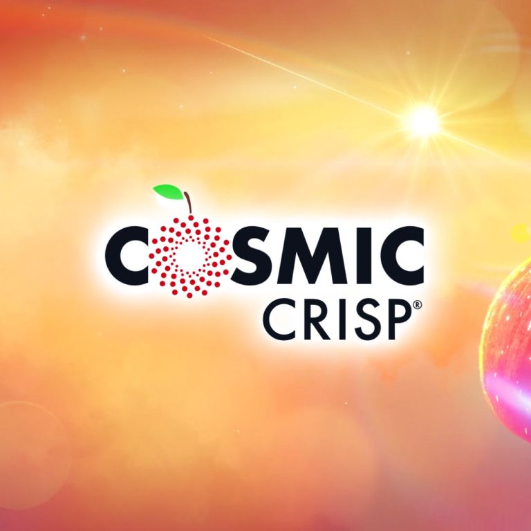 Cosmic Crisp 2022 Holiday Event in Saint Paul Cosmic Crisp 2022 Holiday Event in Saint Paul